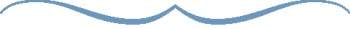 caption line bottom 480x40 blue